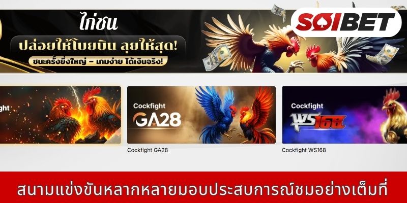 สนามแข่งขันหลากหลายมอบประสบการณ์ชมอย่างเต็มที่